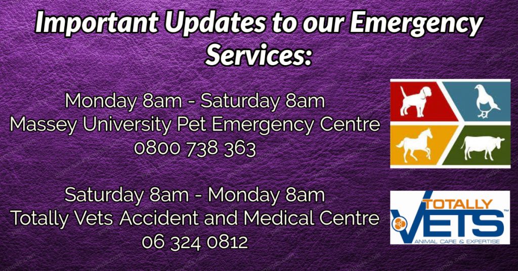 24 Hour Emergency Pet Care By First Vets Whanganui   Emergency Post 1024x536 